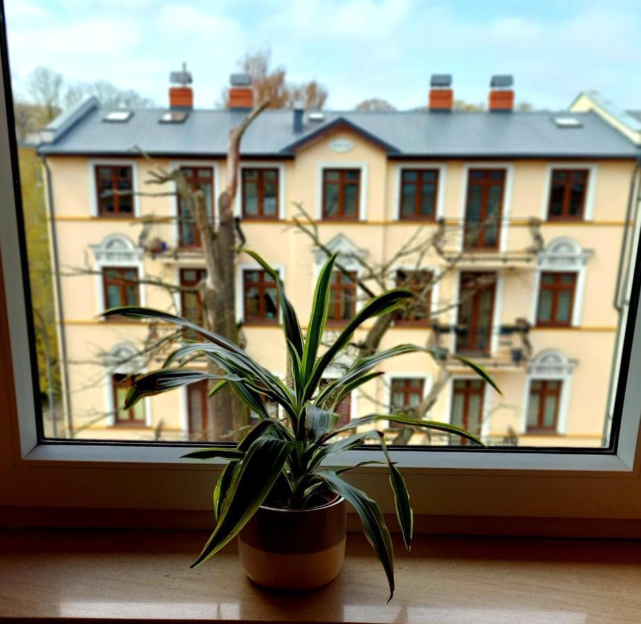 Apartament Pacific 2 Rooms / Pokoje シフィノウイシチェ エクステリア 写真